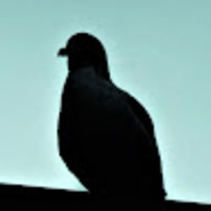 Meet your Posher, Chloe